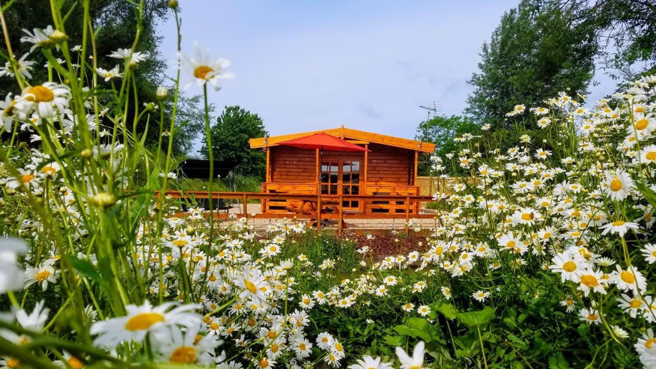 East Pool Cabin 林肯 外观 照片